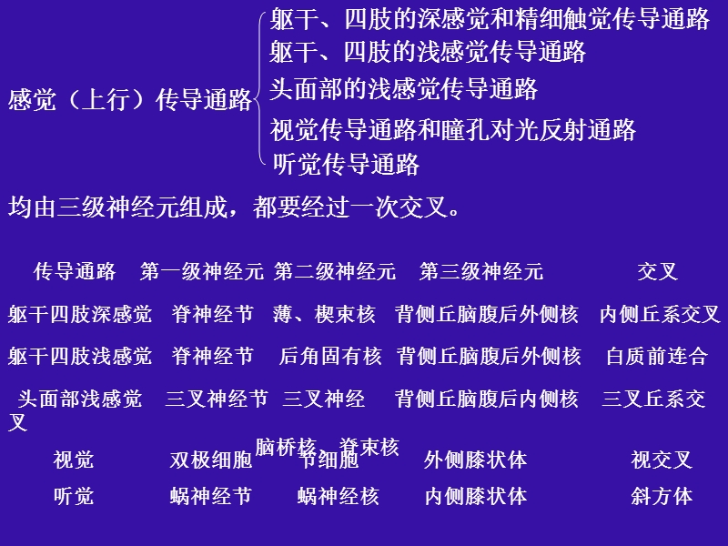 15-2运动传导通路.ppt_第2页