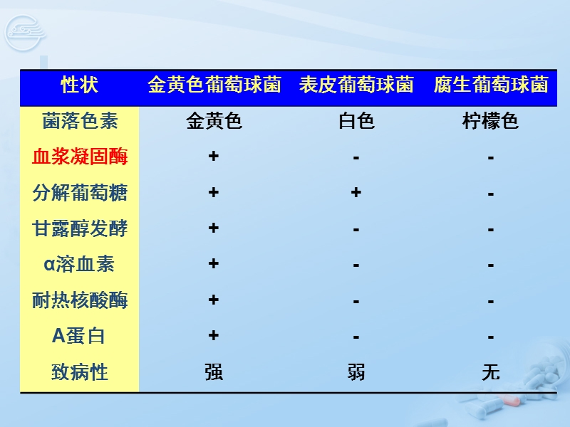 第7章 球菌[七年制].ppt_第3页