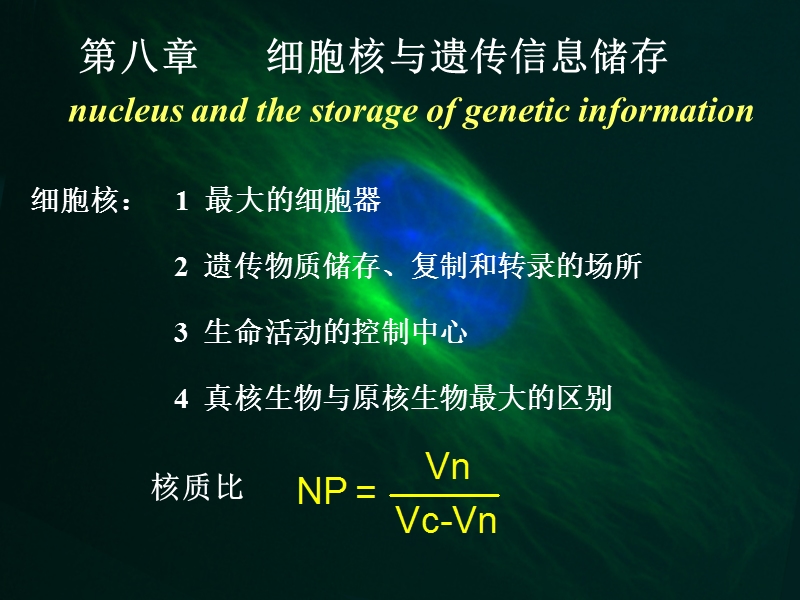 Cell8-七年制-细胞核.ppt_第1页