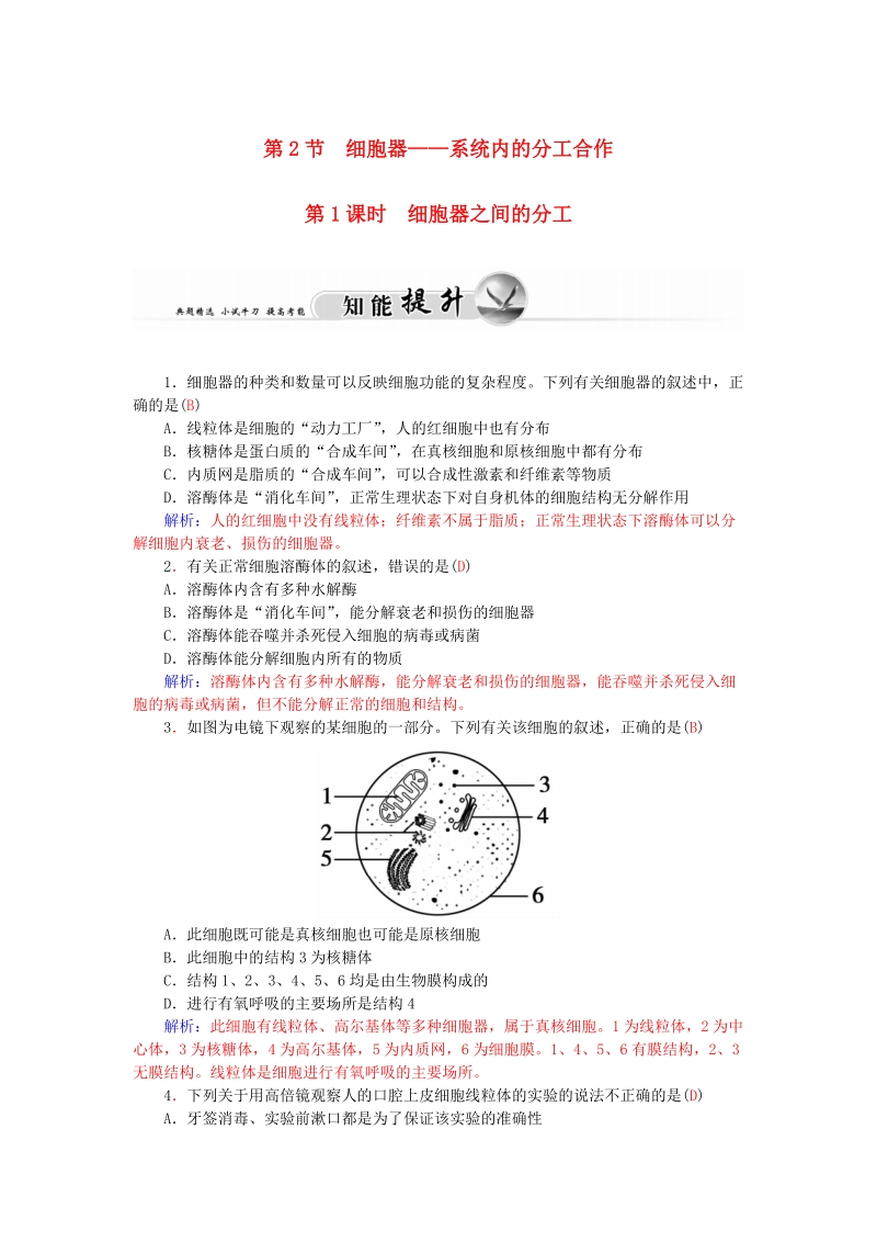 2015-2016高中生物 3.2第1课时细胞器-系统内的分工合作知能提升 新人教版必修1.doc_第1页