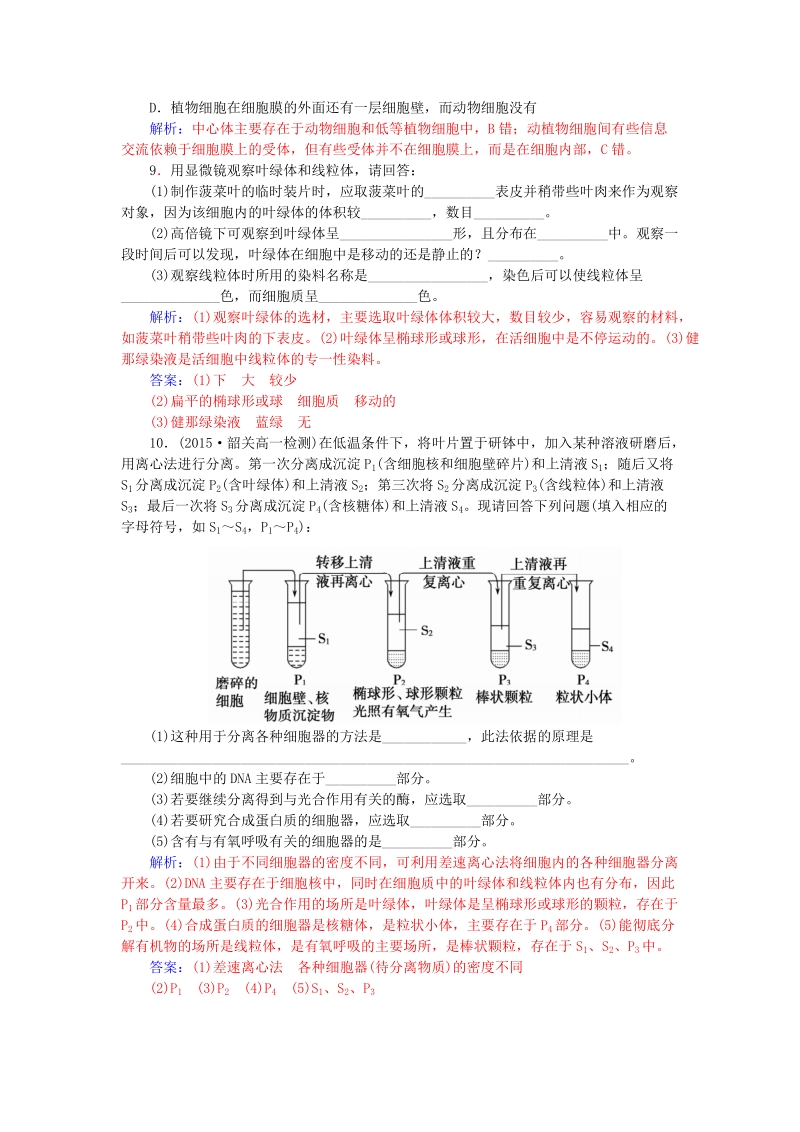 2015-2016高中生物 3.2第1课时细胞器-系统内的分工合作知能提升 新人教版必修1.doc_第3页