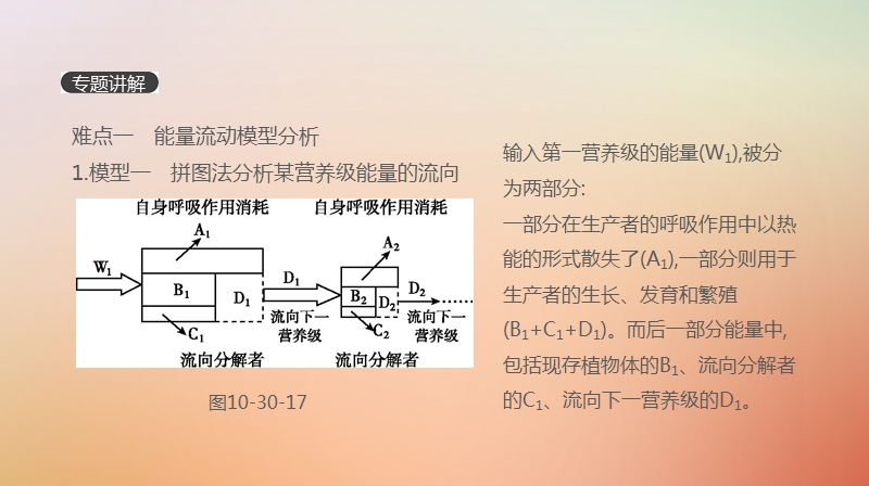 2019届高考生物一轮复习 第10单元 生态系统与生态环境的保护 拓展微课 能量流动模型分析与计算课件.ppt_第2页