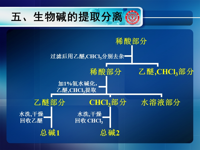 6-生物碱-2.ppt_第3页