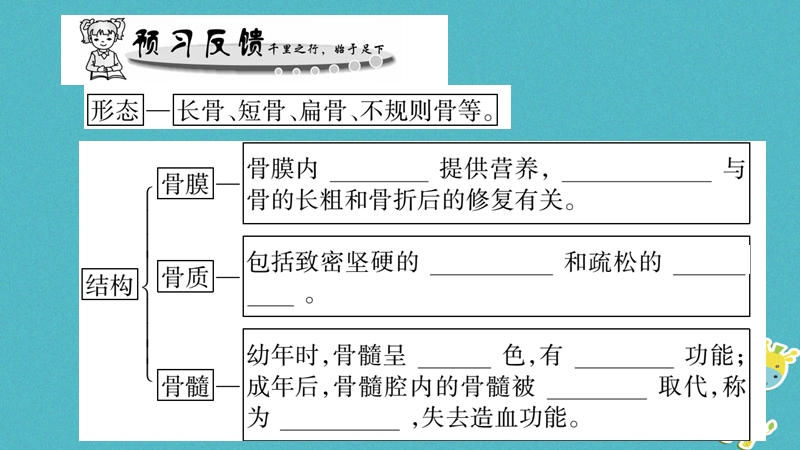 广西省玉林市2018年八年级生物上册 第五单元 第15章 第2节 动物运动的形成（第1课时）课件 （新版）北师大版.ppt_第3页