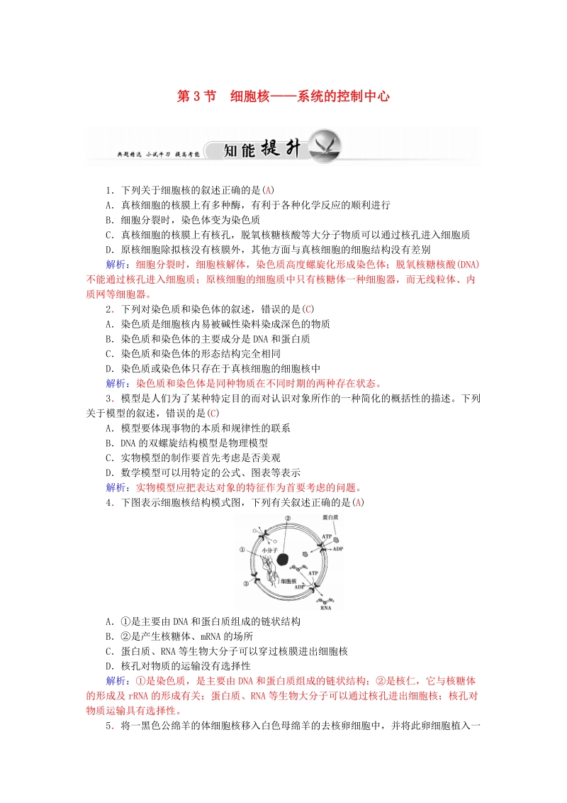 2015-2016高中生物 3.3细胞核-系统的控制中心知能提升 新人教版必修1.doc_第1页