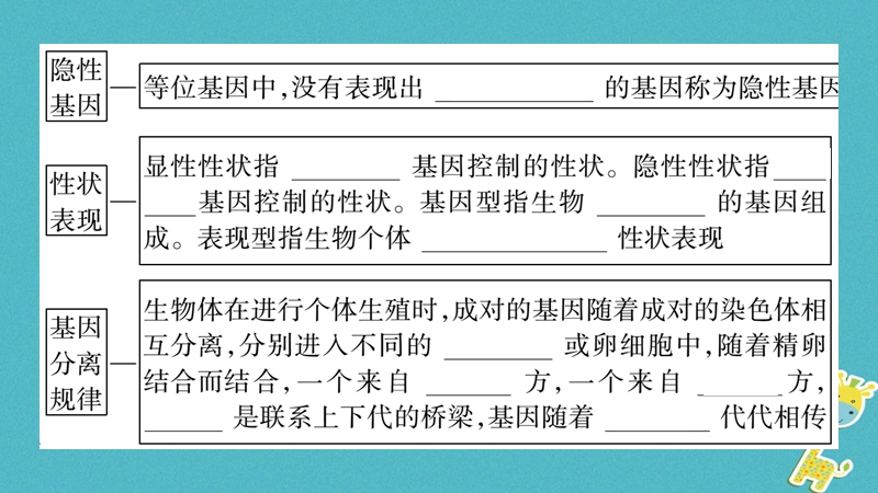 广西省玉林市2018年八年级生物上册 第6单元 第20章 第3节 性状遗传有一定的规律课件 （新版）北师大版.ppt_第3页