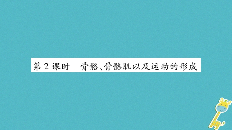 广西省玉林市2018年八年级生物上册 第五单元 第15章 第2节 动物运动的形成（第2课时）课件 （新版）北师大版.ppt_第1页