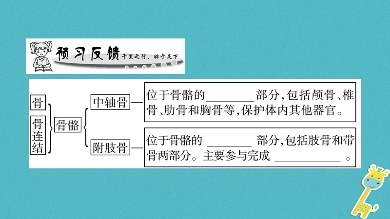 广西省玉林市2018年八年级生物上册 第五单元 第15章 第2节 动物运动的形成（第2课时）课件 （新版）北师大版.ppt_第2页