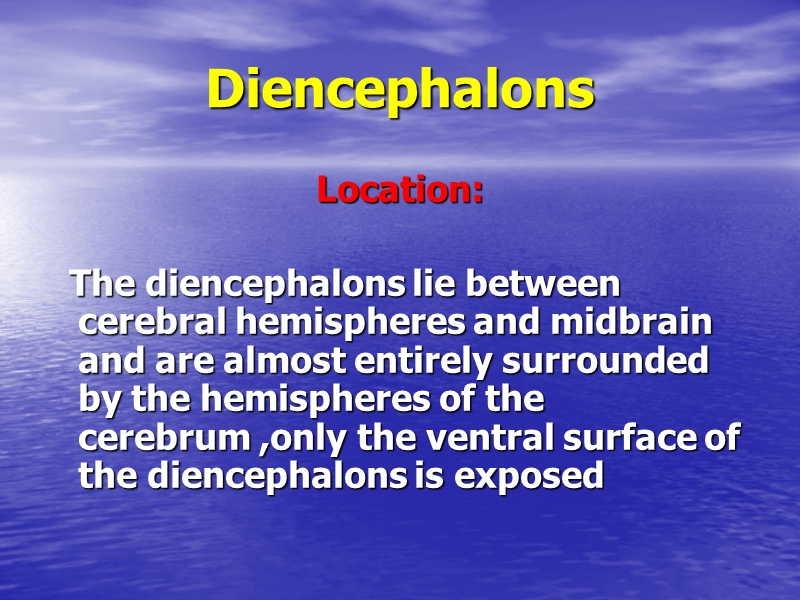 5-internal diencephalon.ppt_第2页