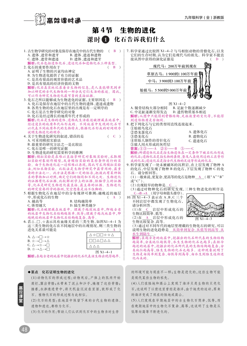 2019九年级科学下册 1.4-1.5 生物的进化 遗传与进化练习（pdf）（新版）浙教版.pdf_第1页