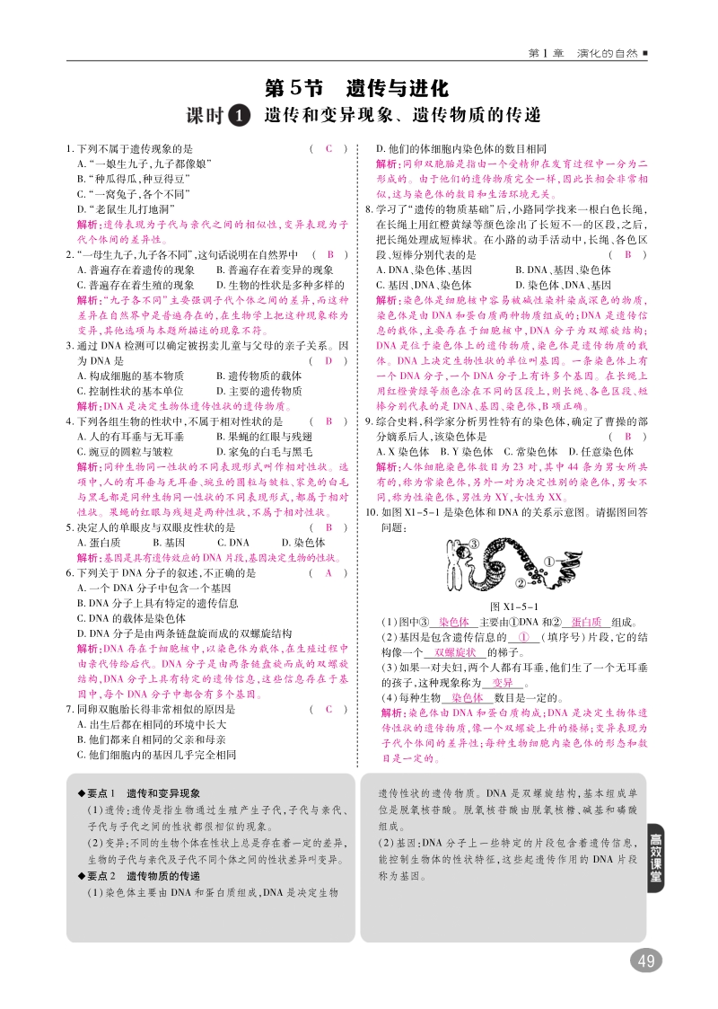 2019九年级科学下册 1.4-1.5 生物的进化 遗传与进化练习（pdf）（新版）浙教版.pdf_第2页