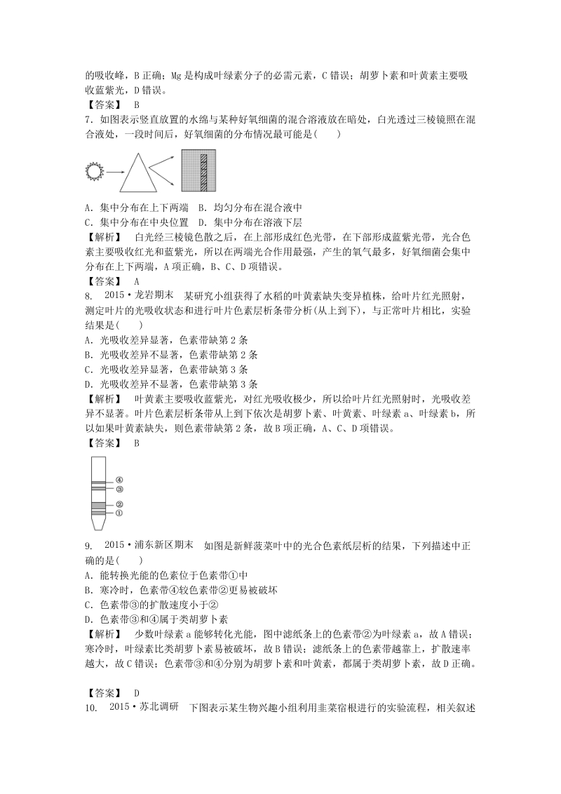 2015-2016高中生物 5.4.1能量之源-光与光合作用课后作业 新人教版必修1.DOC_第3页