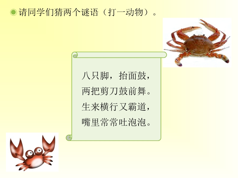 猜谜语 课件.ppt_第3页