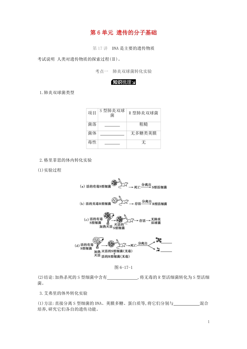 2019届高考生物一轮复习 第6单元 遗传的分子基础听课学案.doc_第1页