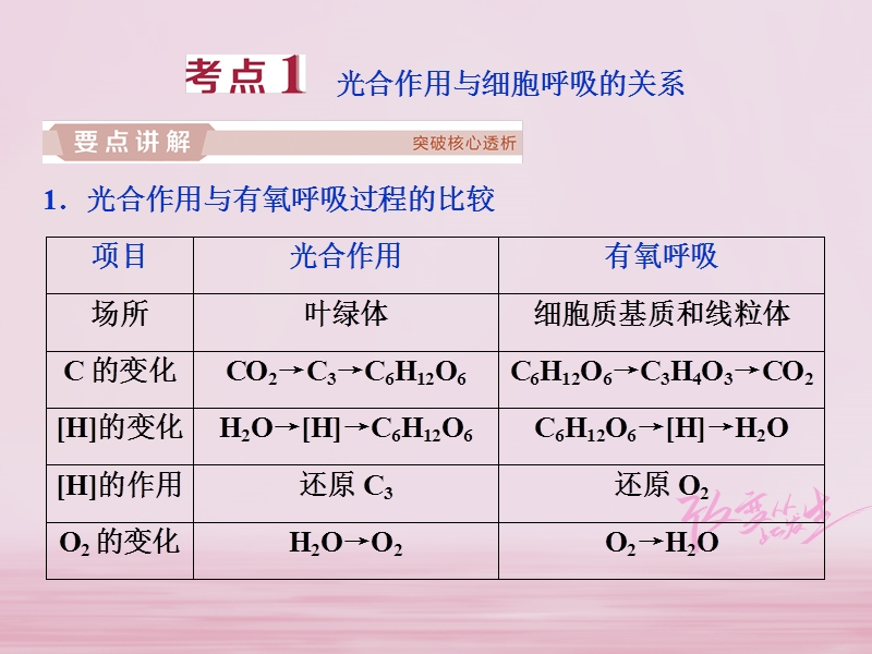 2019届高考生物一轮复习 第三单元 细胞的能量供应和利用 加强提升课（一）光合作用与呼吸作用之间的关系及其实验探究课件.ppt_第2页