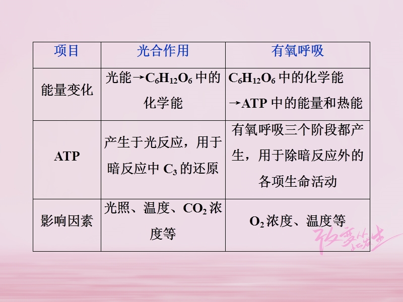 2019届高考生物一轮复习 第三单元 细胞的能量供应和利用 加强提升课（一）光合作用与呼吸作用之间的关系及其实验探究课件.ppt_第3页