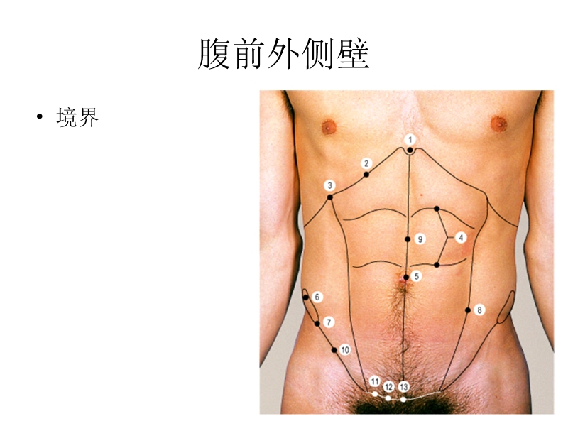 7腹前外侧壁.ppt_第1页