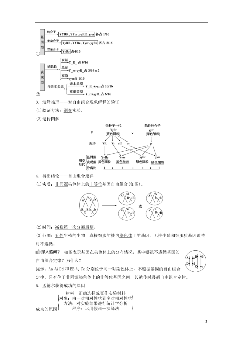 2019届高考生物一轮复习 第五单元 遗传的基本规律与伴性遗传 第16讲 基因的自由组合定律学案.doc_第2页