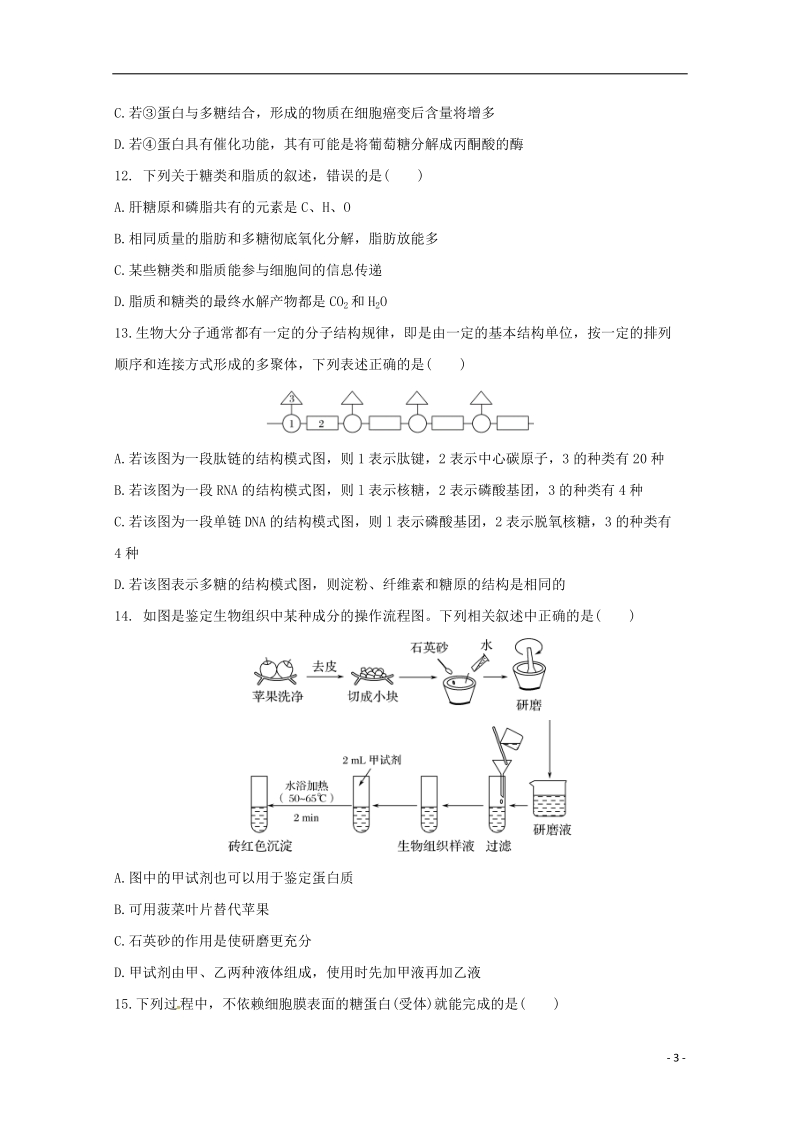 山东省临沂市第十九中学新2019届高三生物上学期第一次模拟考试试题.doc_第3页