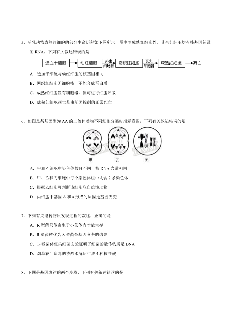 2017年3月2017届高三第二次全国大联考（江苏卷）生物卷（原卷版）.doc_第2页