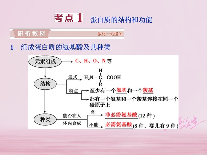 2019届高考生物一轮复习 第一单元 细胞的分子组成 第3讲 生命活动的主要承担者——蛋白质课件.ppt_第3页