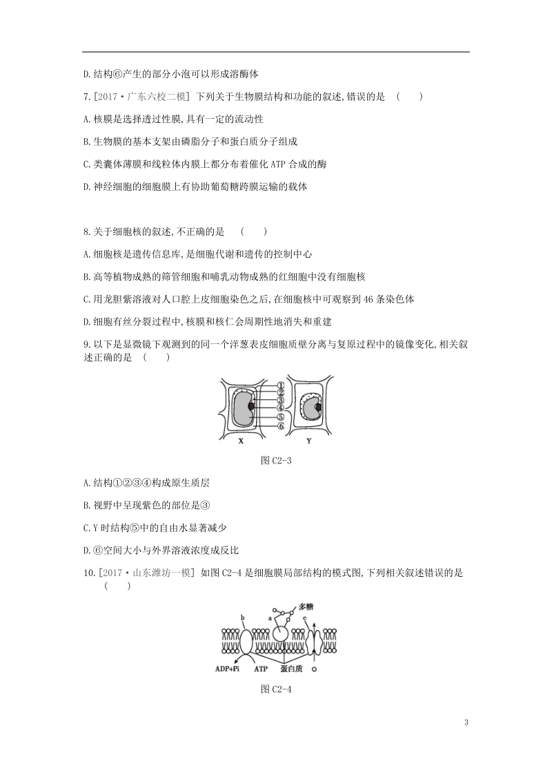 2019届高考生物一轮复习 第2单元 细胞的结构与物质的运输常考易错训练.doc_第3页