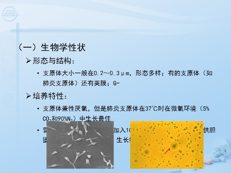 第15章 支原体[七年制].ppt_第3页