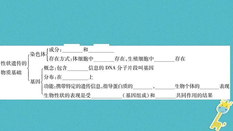 广西省玉林市2018年八年级生物上册 第6单元 第20章 生物的遗传和变异复习与提升课件 （新版）北师大版.ppt_第3页