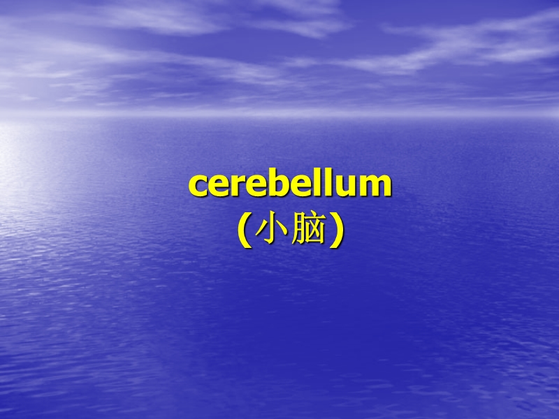 4-cerebellum.ppt_第1页