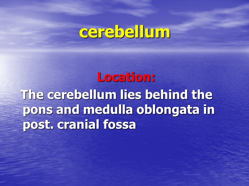 4-cerebellum.ppt_第2页