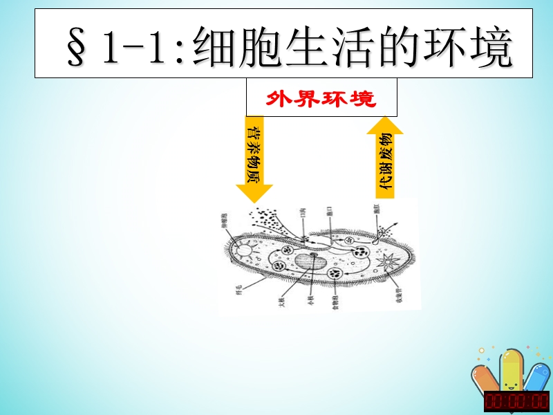 高中生物 第一章 人体的内环境与稳态 第1节 细胞生活的环境课件2 新人教版必修3.ppt_第1页