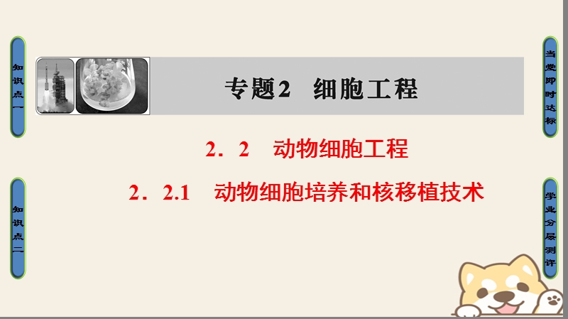 2018版高中生物第2章细胞工程2.2动物细胞工程2.2.1动物细胞培养和核移植技术课件新人教版选修.ppt_第1页