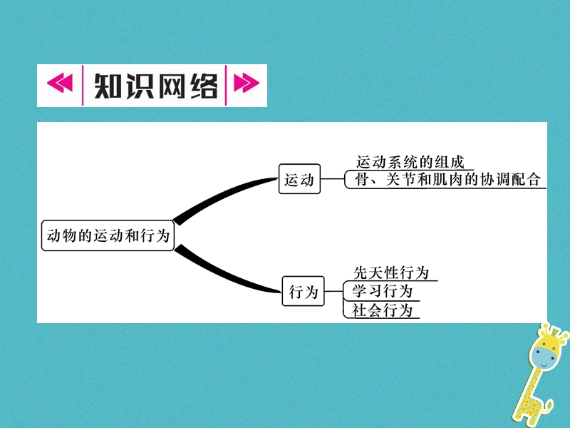 2018年八年级生物上册5.2.1动物的运动作业课件新版新人教版.ppt_第2页