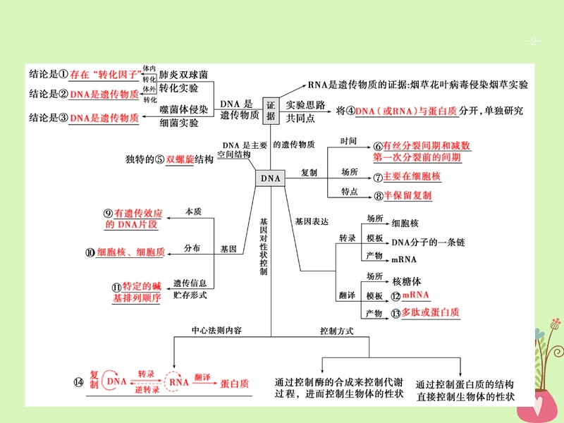 2018版高考生物二轮复习第一部分专题六遗传的分子基次件新人教版.ppt_第2页