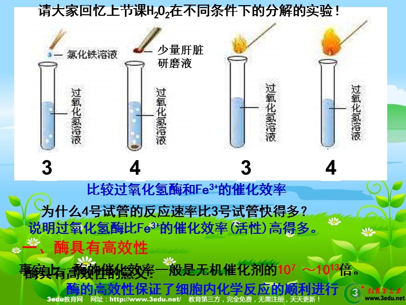 高二生物酶的特性.ppt_第3页