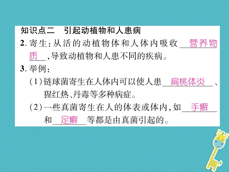 2018年八年级生物上册5.4.4细菌和真菌在自然界中的作用作业课件新版新人教版.ppt_第3页