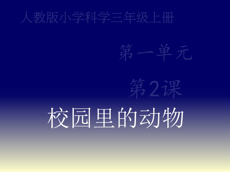 2017最新小学科学人教版1.2《校园里的动物》课件.ppt_第1页