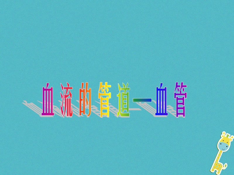 安徽省合肥市长丰县七年级生物下册4.4.2血流的管道_血管课件1新版新人教版.ppt_第1页