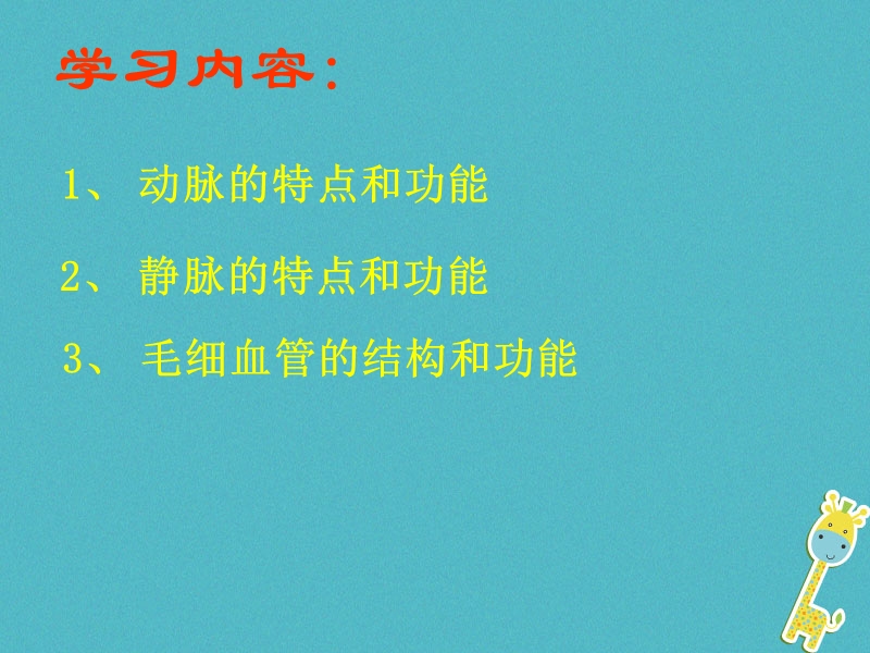 安徽省合肥市长丰县七年级生物下册4.4.2血流的管道_血管课件1新版新人教版.ppt_第3页