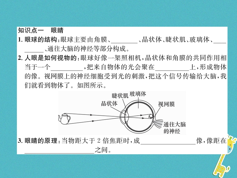 2018年八年级物理上册第4章第6节神奇的眼睛作业课件新版教科版.ppt_第2页