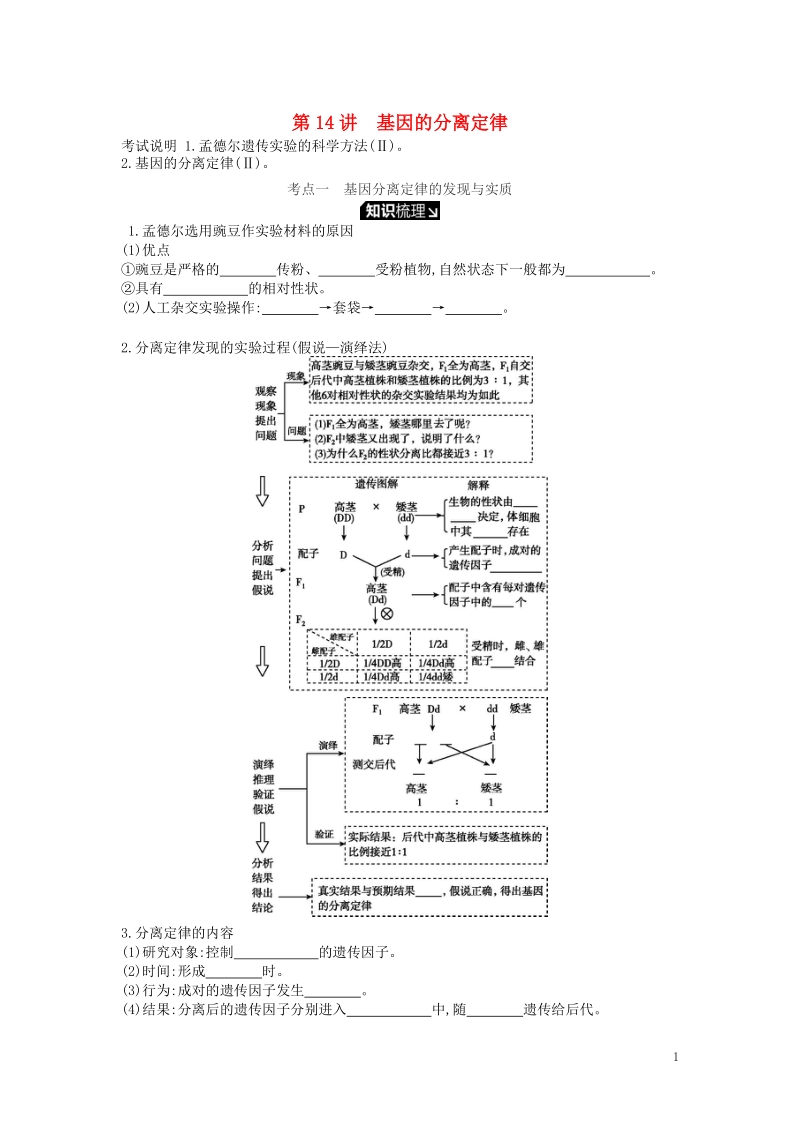 2019版高考生物一轮复习第5单元遗传的基本规律和遗传的细胞基础第14讲基因的分离定律学案苏教版.doc_第1页