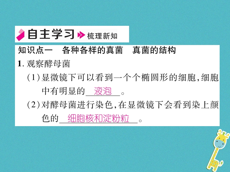 2018年八年级生物上册5.4.3真菌作业课件新版新人教版.ppt_第2页