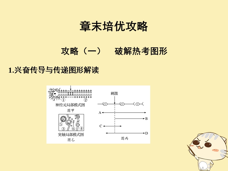 2018_2019版高中生物第二章生物的个体稳态章末培优攻略课件苏教版必修.ppt_第1页