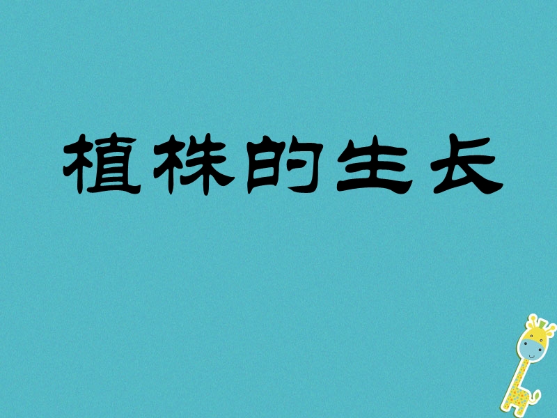安徽省合肥市长丰县七年级生物上册3.2.2植株的生长课件1新版新人教版.ppt_第1页