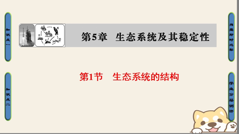2018版高中生物第五章生态系统及其稳定性第1节生态系统的结构课件新人教版必修.ppt_第1页