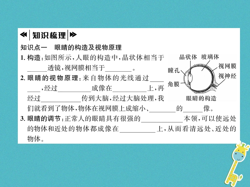 2018年八年级物理全册第4章第6节神奇的眼睛第1课时眼睛与眼镜作业课件新版沪科版.ppt_第2页