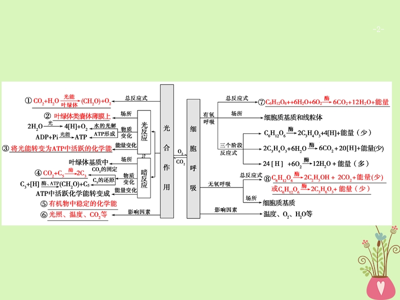 2018版高考生物二轮复习第一部分专题四细胞呼吸与光合作用课件新人教版.ppt_第2页