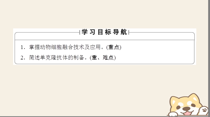 2018版高中生物第2章细胞工程2.2动物细胞工程2.2.2动物细胞融合与单克鹿体课件新人教版选修.ppt_第2页