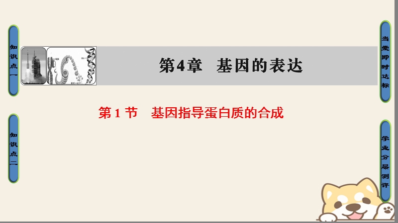 2018版高中生物第四章基因的表达第1节基因指导蛋白质的合成课件新人教版必修.ppt_第1页