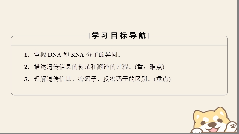 2018版高中生物第四章基因的表达第1节基因指导蛋白质的合成课件新人教版必修.ppt_第2页